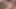 Harika orta yaşlı seksi sürtük büyük yarağı alıyor ve gavat pisliği temiziyor