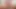 Porno yıldızı toplantısı