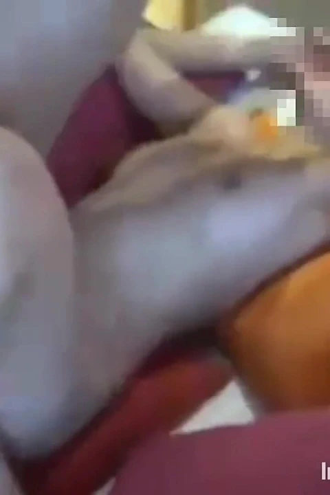 Hintli eski sevgilimi sert sikiyorum