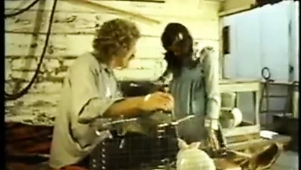 Bebekyüz (1977) klip