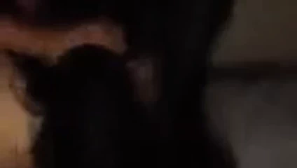 Hızlı sikme itibaren arkadan