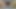 Kıllı amcıklı baştan çıkarıcı olgun kadınlar yakın çekim hd fantezi sahneleri