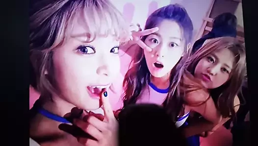 AOA choa & seolhyun cum tribute