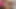 Bölgesel tv sunucusu olarak kabul edildi ama onun yerine ilk porno filmi için geldi! Yuzuna Aihara ilk büyük çıkışında (bölüm 2)