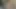 Korkak olduğunu her zaman aç için raw horoz
