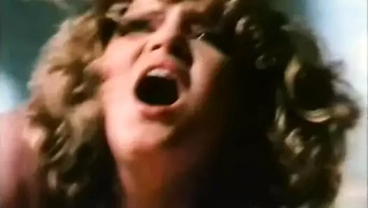 Gizli aşıklar (aşk filmi) (1979)