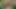 Blonde Schönheit masturbiert im Freien