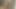 Kaslı dostum sürmek onun arkadaşları kalın ve uzun çük