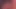 Y t