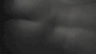 Patron nihayet vazgeçiyor kedi