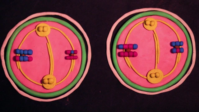 Anime fuck stop motion hamuru kuklalar seks