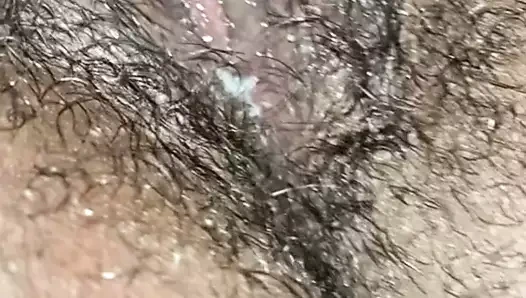 Kıllı ıslak siyah kedi beyaz horoz için hazır