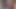 Diana chaves - aslanlar 10 02 2019 01