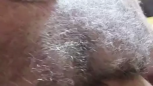 Bear baba gösteri şişman horoz üzerinde kam