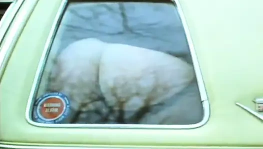 Arabadaki sürtük yaşlı çifti pencereden içeri sokuyor!