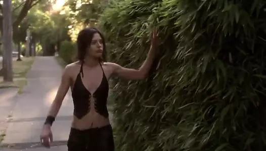 Katherine moennig - l kelimesi