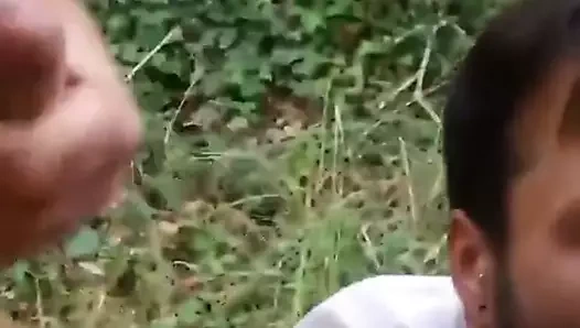 seyir oral seks ve twinks