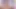 Düz göğüslü üniversite öğrencisi Giselle sıkı götünü dölle dolduruyor!
