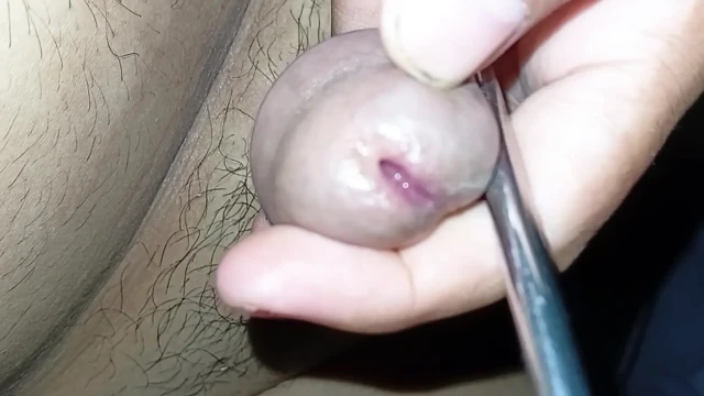 Bol sperm