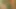 HerzogVideos Im Wald und auf der Heidi #3