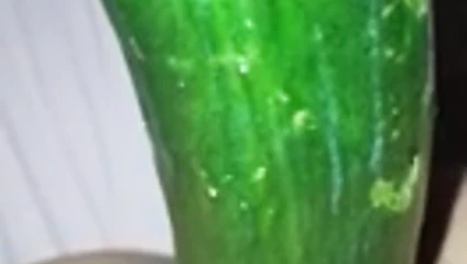 ich liebe meine gurke