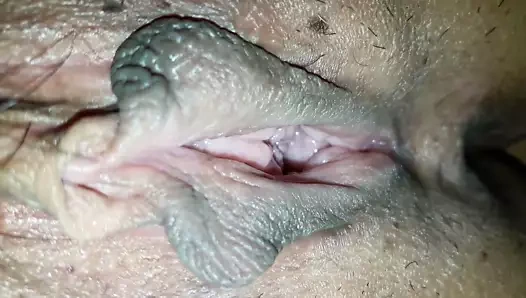 Koreli karısının ıslak kedi