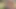 Çılgın çift doğada vahşi bisiklet pornosunda sikişiyor