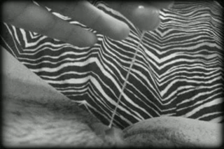 Paradisiac nektarları (ıslak kedi, kedi suyu karışımı)