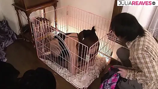 Kaltak büyük bir yarağa binmeden önce dildoyla sikiliyor