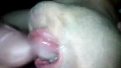 Transeksüel canavar horoz