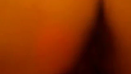 Quand le chat n'est pas la...