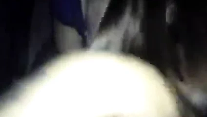 amatör beyaz kolej oral seks