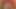 travesti 8