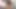VanesaMendes: Curly Latina Brunette Gives Sloppy Dildo Blowjob on Stripchat