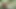 En iyi gerçek Alman amatör porno, ücretsiz sürüm, tam değil, cilt 692
