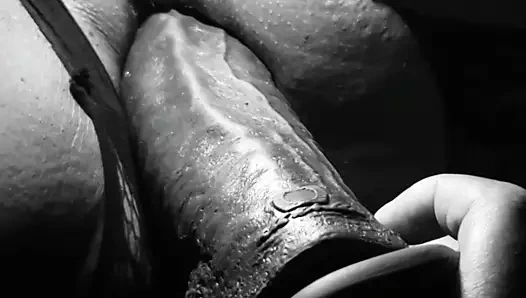 hile karısı esneme nöbeti abanoz KEDİ