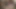 Üç kadın egemenliği hatun kölelerini yerde cezalandırıyor