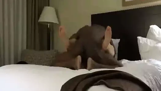 Ev yapımı benim sürtük eş gets creampied tarafından bbc