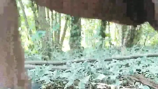 ormanda KEDİ gösterisi