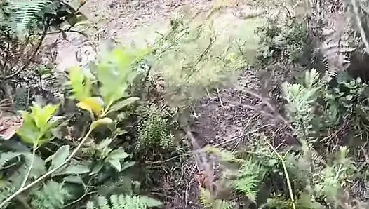 Ormanda amımı sütle dolduruyorum