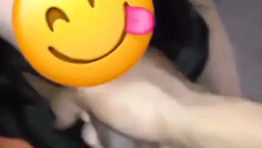 Elle suceuse de bite