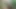 Hintli rustik kadın kocasıyla ormanda seksi videolar yaptı.