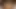 Asya titfuck 8
