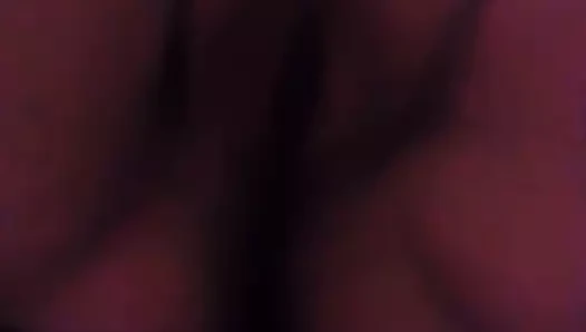 Doxy değnek fışkırtma kedi