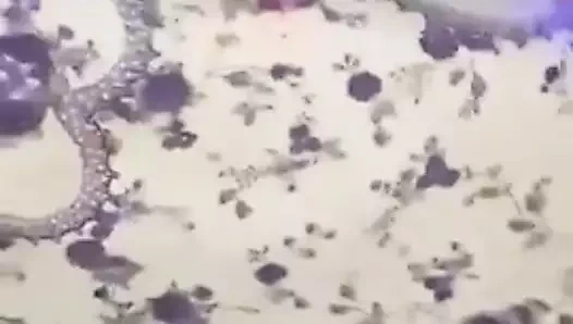 Hint grup eğlence takas