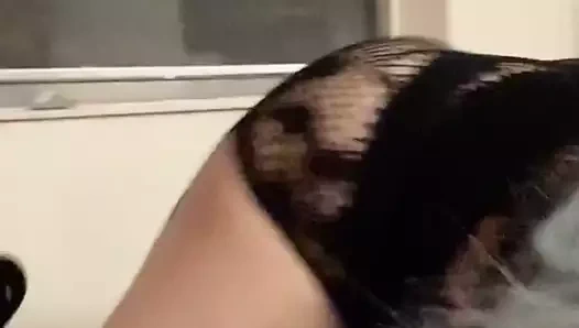 Jess eşek genel pencere açık