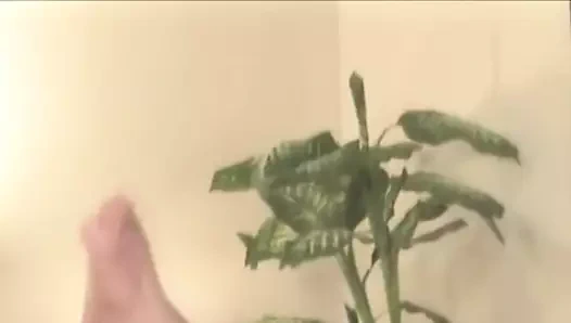 Başka bir dünyadan ev hanımlarında Rebecca aşk.mp4