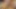 Beautiful Desi Sex Site For Schoolgirls Hindi Audio Xxxx, Local Village Desi Girl & Sexy Videos 2026