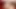 Amerikan milf lilly james yapay penis sikikleri kedi ve göt