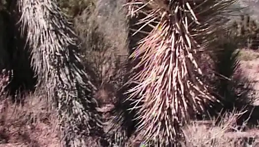 sündige Neugier entgleist mit frechen College-Girls (18+)